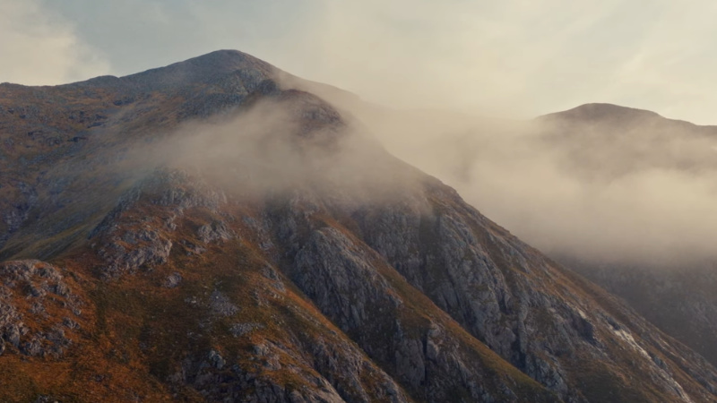 FAKE EMPIRE (THE NATIONAL)